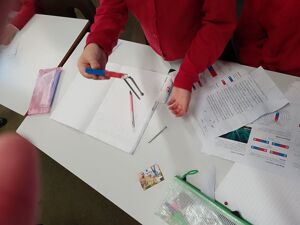 Img 20250106 135526