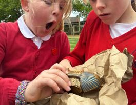 Open Days